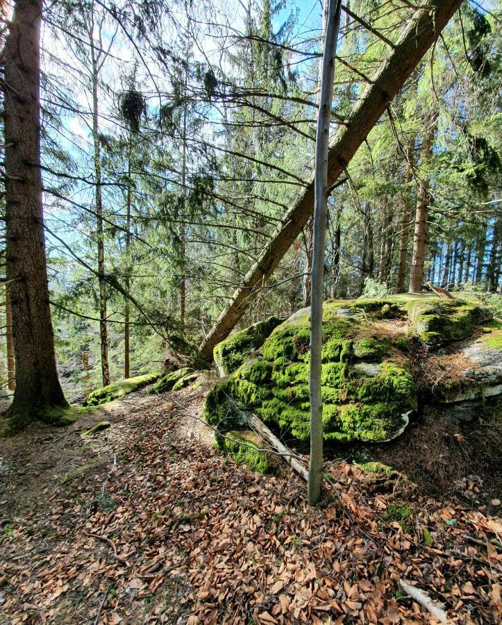 Apartament Nr 16 Szklarska Poręba Esterno foto