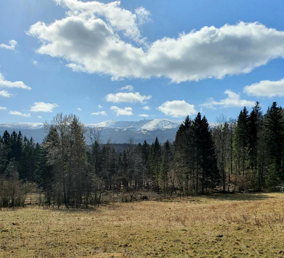Apartament Nr 16 Szklarska Poręba Esterno foto